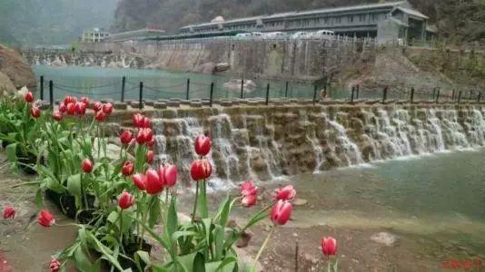 河南大雪已到达,郑州地铁1、2、5号线延长运营至24点,保障乘客平安回家!