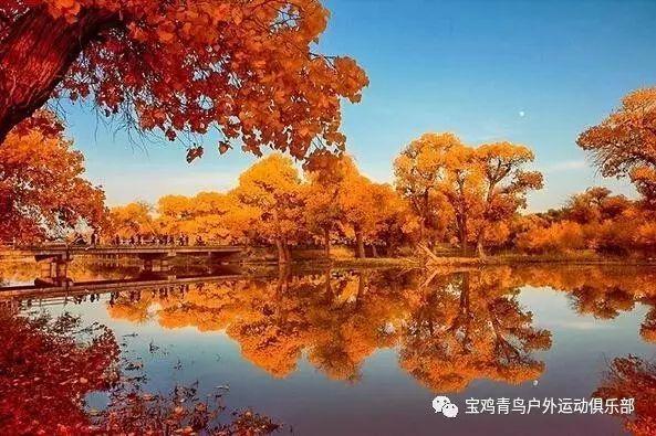 五彩弹珠祖玛