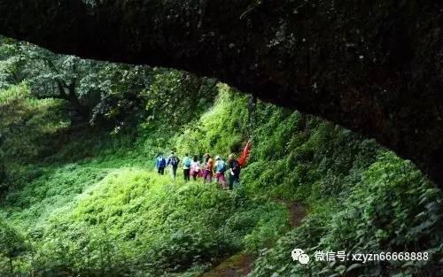 白化摇篮曲