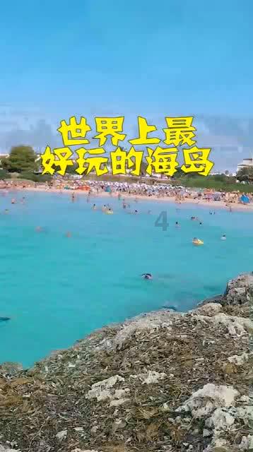 植物大战僵尸11