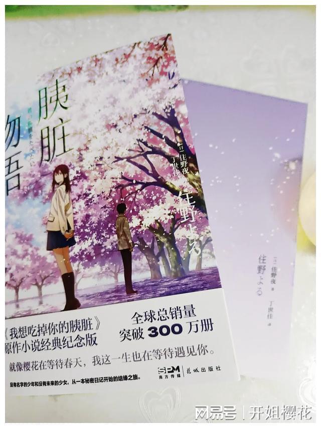 疯狂的小偷