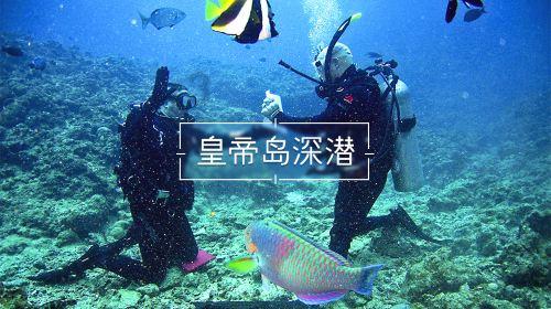 寂静岭：暴雨