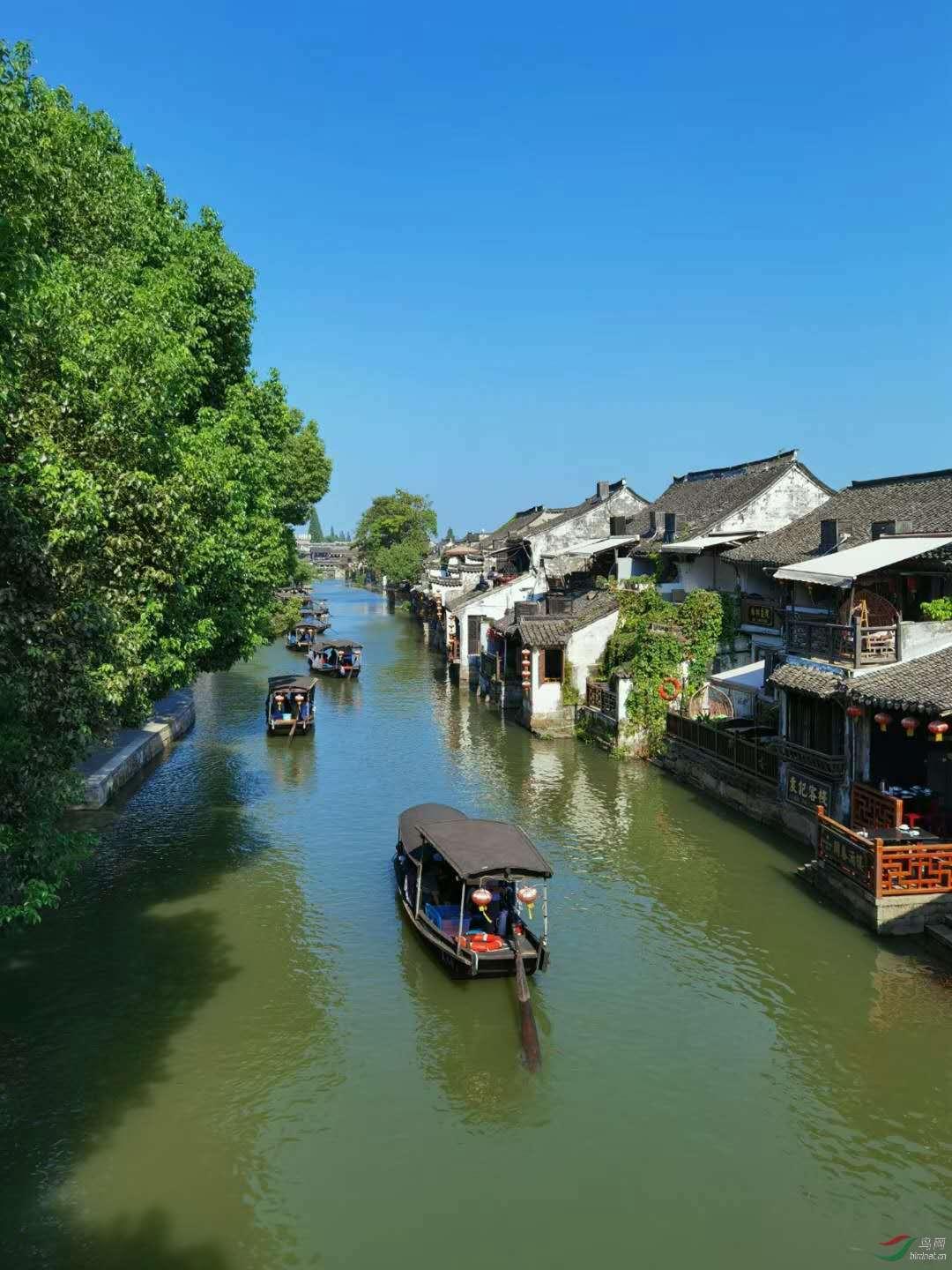 梦想的后院