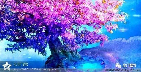 美陈装置设计是什么?